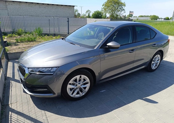 Skoda Octavia cena 110000 przebieg: 8500, rok produkcji 2023 z Gościno małe 121